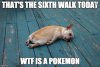 pokemon2.jpg
