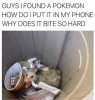 pokemoN.jpg