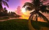 Beaches-Sunset-Beach-Palms-wallpapers00015.jpg