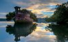 trees-in-a-wrecked-boat-42230-1280x800(1).jpg