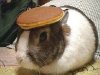 bunnypancake.jpg