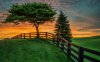 summer_field_sunset_fence-1920x1200.jpg