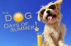 Dog-Days-of-Summer-Logo-web.jpg