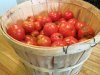 basket-of-tomatoes.jpg