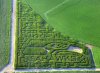 12th-man-flag-corn-maze.jpg