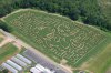 family-guy-corn-maze-pop-cr.jpg