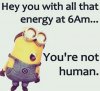 Best-Funny-Minion-Quotes-5(1).jpg