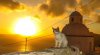 cat-santorini-sunset.jpg