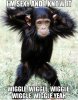 funny-chimpanzee-im-sexy-and-i-know-it(1).jpg