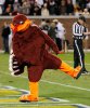 HokieBird+Virginia+Tech+v+Georgia+Tech+vxNHz6mK_Mr.jpg