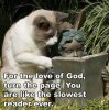 Funny-Animals-Top-29-Most-Funniest-animals-Quotes-.jpg