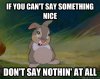 If you can't say something nice... Thumper.jpg