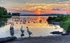 geese-at-sunset-lake-41851-1920x1200.jpg