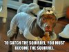 Funny-Dogs-quoetes-57(1).jpg