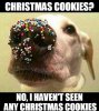 224140-Christmas-Cookies-No-I-Haven-t.jpg