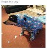 Presents.jpg