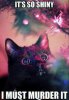 Its-so-shiny---christmas--cat-meme(2).jpg