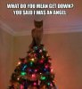 Funny-Christmas-Pictures-112(2).jpg