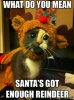 funny-sat-cat-kitten-cute-rudolph(3).jpg