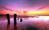 Purple-Sunset-1080p(2).jpg