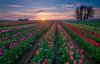 sunset-field-hd-wallpapers-5-1(1).jpg