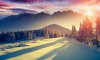 sunset_winter_shadows-wallpaper-1920x1200-1(2).jpg