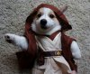 dog-star-wars-costume-12.jpg