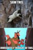 Funny-Pictures-lol-meme-2014-Llama.jpg