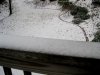 snow in yard.jpg