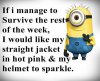 Best-Funny-Minion-Quotes-10.jpg
