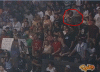spike2.gif
