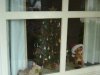 12-18-04 Day 014.JPE