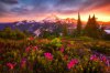 sunsets-sunset-mount-baker-flowers-wildflowers-sky.jpg