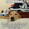 Good-morning---dog-meme-1.jpg