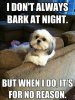 bark-dog-meme(2).jpg