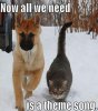 Funny-Dog-and-Cat-Pictures-with-Caption-5-570x641.jpg