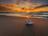 Sunset-at-Beach-Hd-Wallpaper.jpg