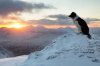 border-collie-dog-winter-mountain-sunset.jpg