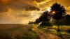 countryside-sunset-4170.jpg