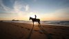 horses-riding-horse-beach-sunset-rider-pier-sea-be.jpg