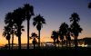 california_sunset_palm_trees_computer_wallpaper.jpg