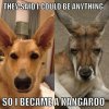 They-said-I-could-be-anything---funny-dog-kangaro.jpg