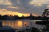 Epcot sunset.jpg