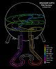 SSE track layout floor levels.jpg