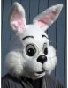 wendellbunny001-600x776.jpg