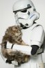 storm-trooper-and-maine-coon1.jpg