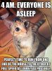 top-funny-animal-memes-quotes-words-sayings-146056.jpg