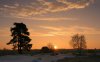 36231-winter-trees-at-sunset-1280x800-nature-wallp.jpg