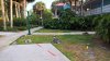 WP_20170430_07_56_09_Rich.jpg