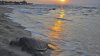 beaches-hawaiian-dusk-turtle-hawaii-islands-kona-p.jpg